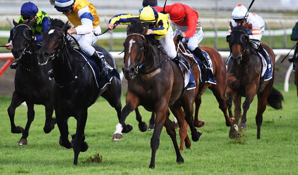Molly Bloom winning the Gr.2 Eight Carat Classic (1600m) at Pukekohe on Tuesday. Photo: Kenton Wright (Race Images