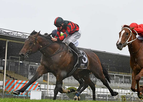 Monday Melody will contest the feature Gr.2 James & Annie Sarten Memorial (1400m) at Te Rapa on Saturday. Photo: Kenton Wright (Race Images)