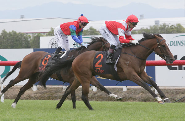Mongolian Wings extends nicely for rider Opie Bosson as they hit the finish line at Te Rapa Photo: Trish Dunell
