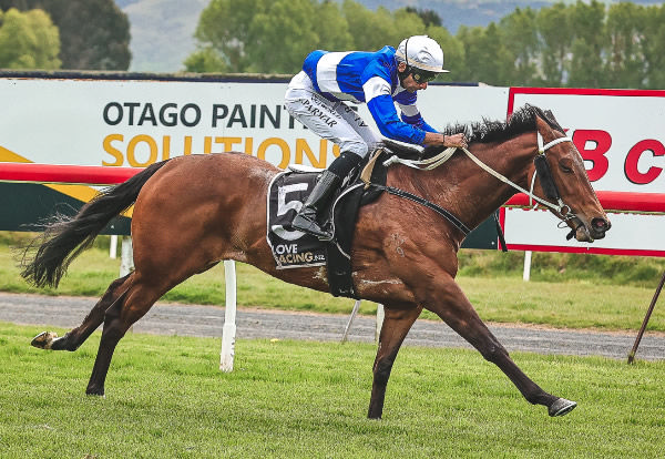 Tikki will contest Saturday's Listed Donaldson Brown Pegasus Stakes (1000m) at Riccarton Park.   Photo: Monica Toretto