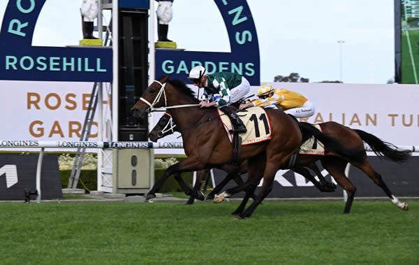 Montefilia has a rich pay day in the G2 Hill Stakes - image Steve Hart