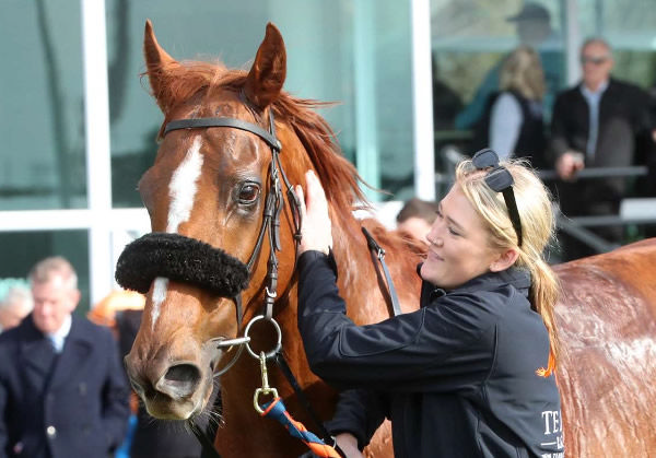 Moon Rocket was part of a winning treble for Te Akau Racing at Riccarton Park on Wednesday.  Photo: Race Images South