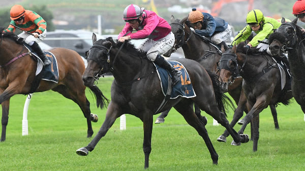 Moonlight Magic powers down the outside to claim the Gr.3 Trelawney Stud Championship Stakes (2100m) at Ellerslie on Saturday.   Photo: Kenton Wright (Race Images) 