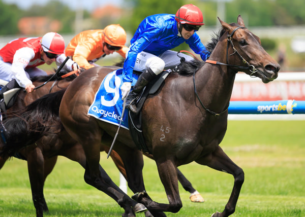 Motorsports wins the G3 Blue Sapphire Stakes - image Grant Courtney