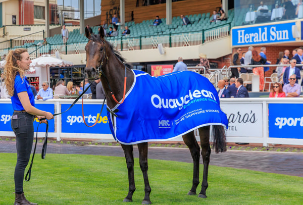 Motorsports is a new SW for Street Boss - image Grant Courtney