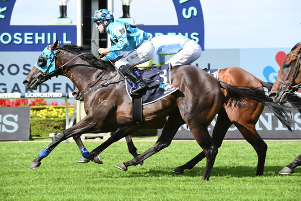 Mo'Unga wins the G1 Rosehill Guineas - image Steve Hart