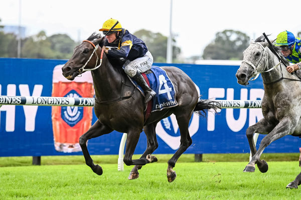 Mount Poppa found conditions to suit (image Steve Hart)