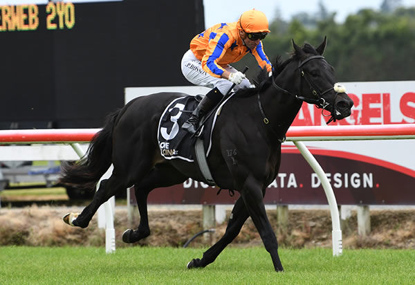 Move to Strike was an impressive debut winner in New Zealand for Te Akau - read about him here.