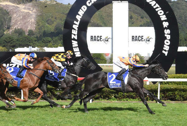 Move To Strike powers to the line to capture the Gr.1 Courtesy Ford Manawatu Sires’ Produce Stakes (1400m) at Trentham.   Photo: Race Images PN