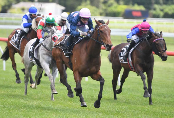 Group One performer Movin Out will continue her racing career in Australia following her recent sale.  Photo: Peter Rubery (Race Images Palmerston North)