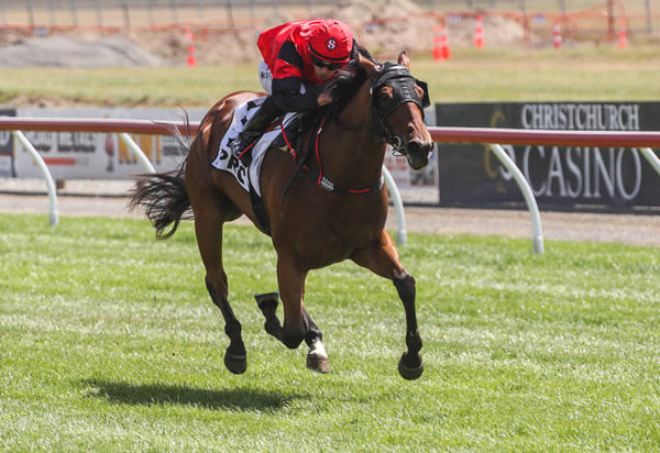 Mozzarella winning at Riccarton on Saturday. Photo: Race Images South