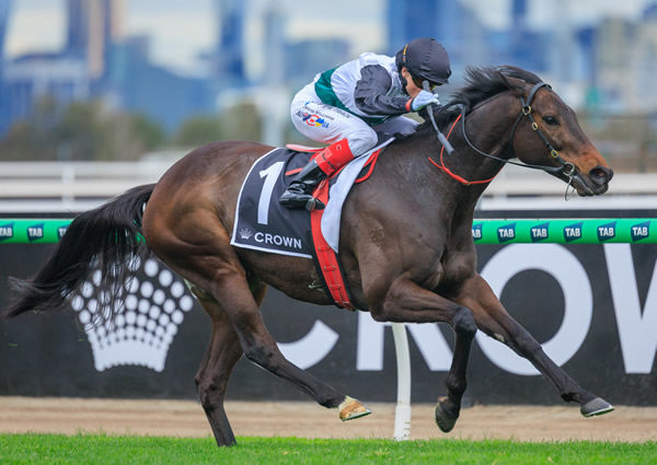 Mr Brightside does it again winning his third G1 Makybe Diva Stakes - image Grant Courtney