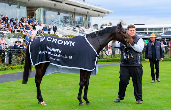 Mr B has two more of these rugs at home! -image Grant Courtney
