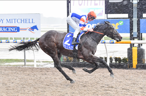 Mr Blunt braves some vile weather to go two for two - image Pat Scala / Racing Photos