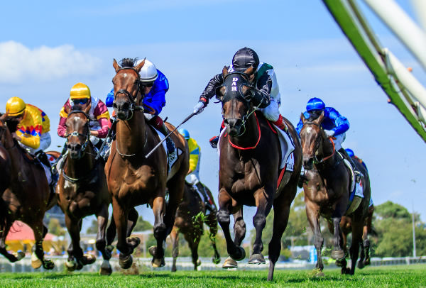 Champion Galloper Mr Brightside secures his ninth group one win in the Gr.1 Futurity Stakes (1400m) at Caulfield for Team Hayes and Jockey Craig Williams - image Grant Courtney