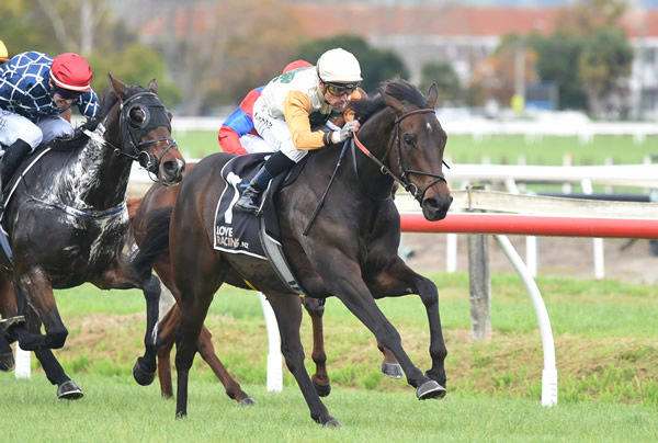 Mr Bully Tee winning at Hastings on Tuesday Photo: Race Images PN (Peter Rubery)