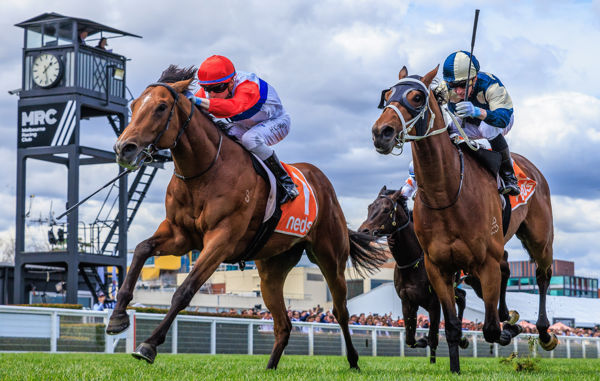 Mr Maestro and Muramasa hit the line in the G3 Caulfield Classic - image Grant Courtney