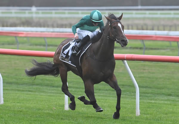 Mr Mojo Risin’ winning the Listed TAB Anzac Mile (1600m) at Otaki on Thursday. Photo: Race Images Palmerston North
