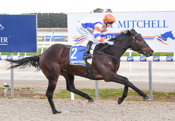 MR Blunt is in a different postcode - image Brett Holburt / Racing Photos