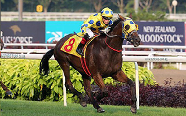 Mr Clint wins the Singapore Gold Cup - Singapore Turf Club
