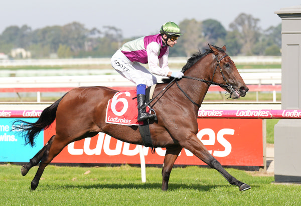 Mrs Supergrass cruises home alone at Sale - image Scott Barbour / Racing Photos