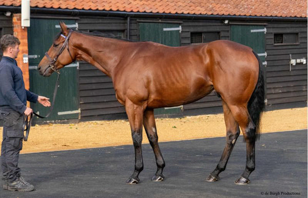 Mukhtalif is headed to the Ciaron Maher stable.