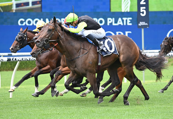 Mumbai Jewel wins the Pierro Plate -image Steve Hart 