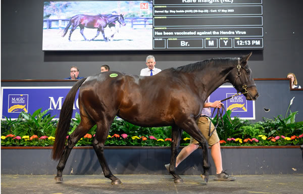 Murchison sold for $800,000 in foal to Stay Inside - image MM