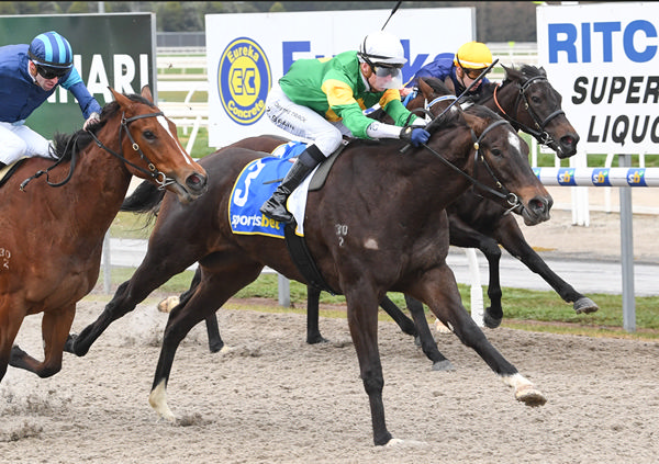 Must be Sain wins on debut - image Brett Holburt/ Racing Photos