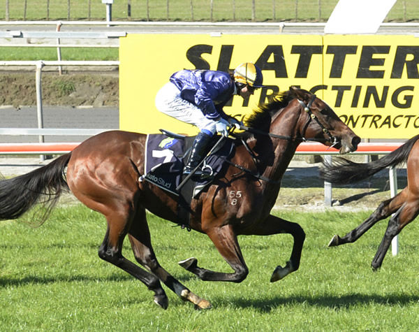 Mustang Valley will contest the Listed Mainland Auckland Futurity Stakes (1400m) at Ellerslie on Saturday. Photo: Race Images