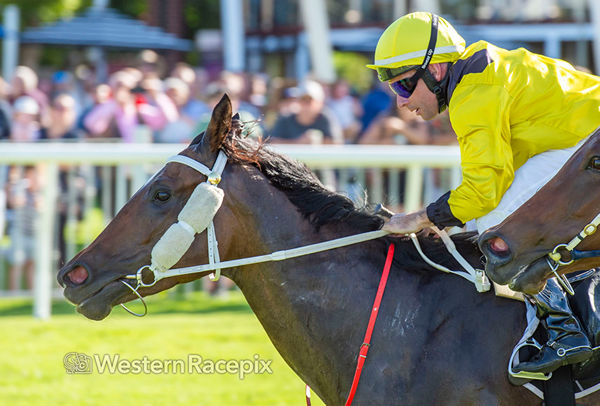 My Bella Mae wins the Cyril Flower Stakes - image Western Racepix