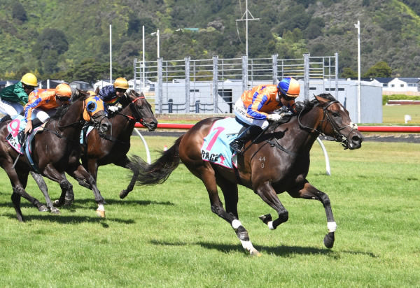 My Lips Are Sealed winning the Gr.3 Phar Lap Trophy (1600m) at Trentham on Saturday.   Photo: Peter Rubery (Race Images Palmerston North)