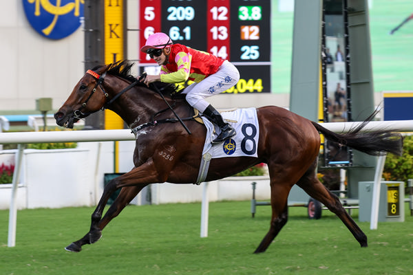 My Wish wins the G3 Celebration Cup - -image HKJC
