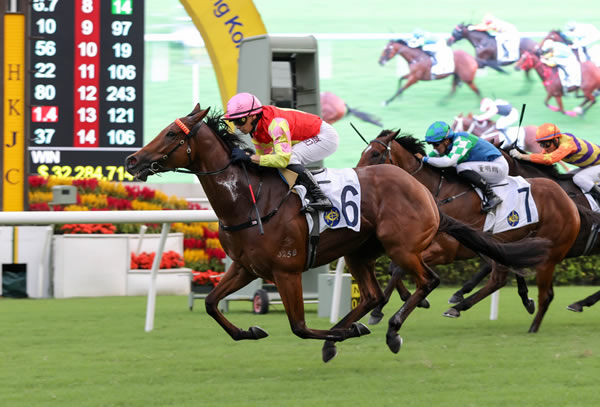 My Wish wins the G2 Sha tin Trophy - image HKJC