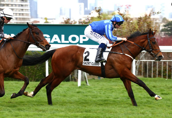 Myconia wins on debut at Saint-Cloud - image Coolmore