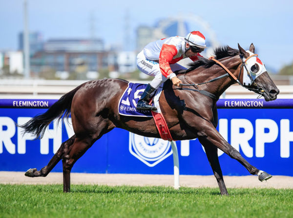 G1 winner Mystic Journey was bought from the Magic Millions Tasmania Sale
