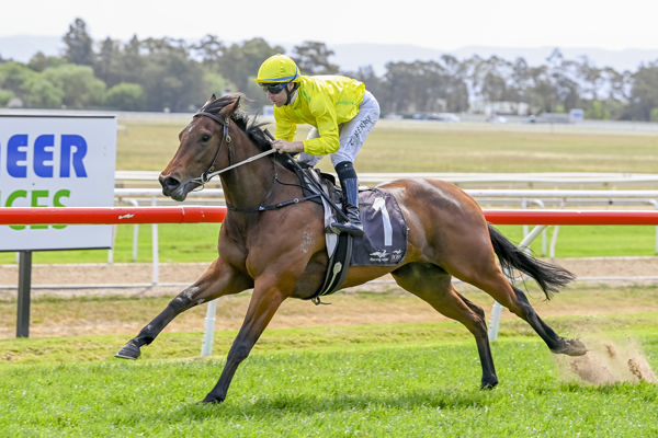 Naifah was an impressive winner at Hawkesbury - image Bradley Photos