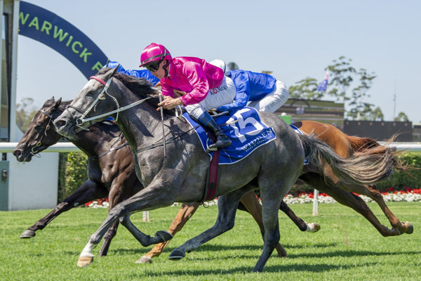 Catkins little girl Nandina wins on debut - image Bradley Photos
