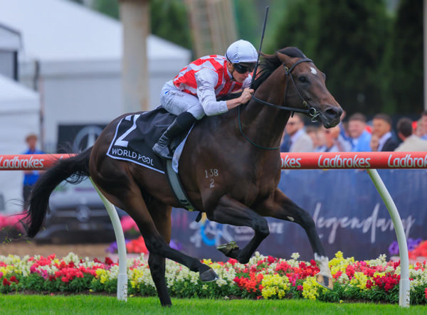 Napoleonic wins the Red G3 Anchor in a breeze - image Grant Courtney 