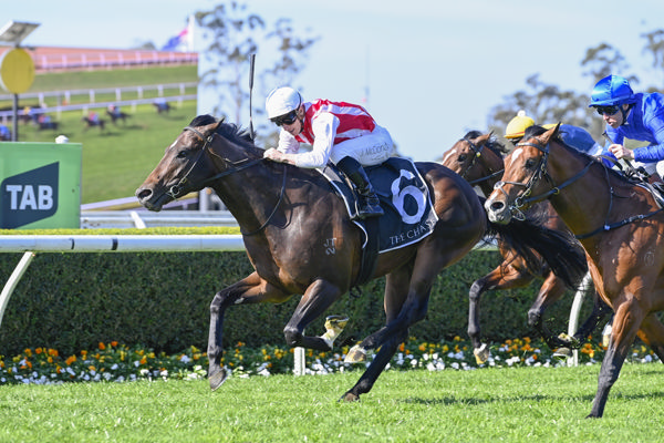 Napoleonic wins at Warwick Farm - image Bradley Photography