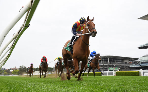 See you later alligator! - Nature Strip dashes clear in the G2 Concorde Stakes - image Steve Hat 