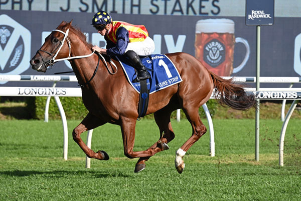 Nature Strip wins his third G1 TJ Smith Stakes - image Steve Hart