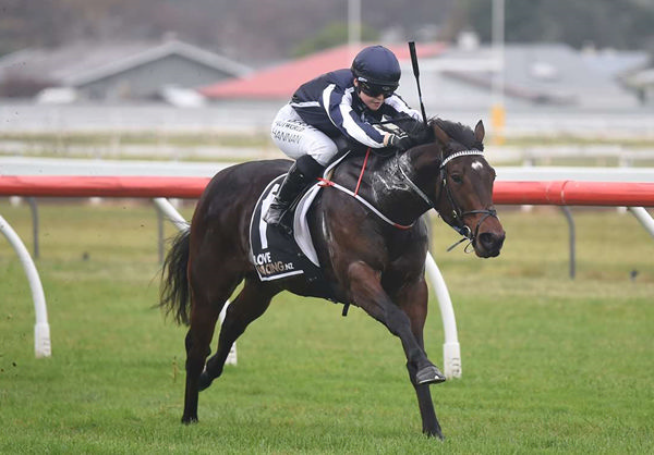 Naval Anthem winning at Wanganui on Friday. Photo: Peter Rubery (Race Images Palmerston North) 