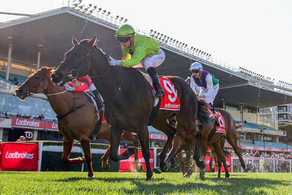 Navy King battles hard to claim his fourth career win in the MSC Signs 2040m at The Valley. Photo: Bruno Cannatelli