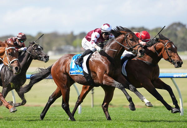 Navy Pilot looms large on the outside to win - image Scott Barbour / Racing Photos 