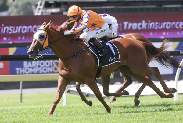 Need I Say More extends his winning record with victory in the Listed Fasttrack Mufhasa Stakes (1300m)  Photo: Trish Dunell