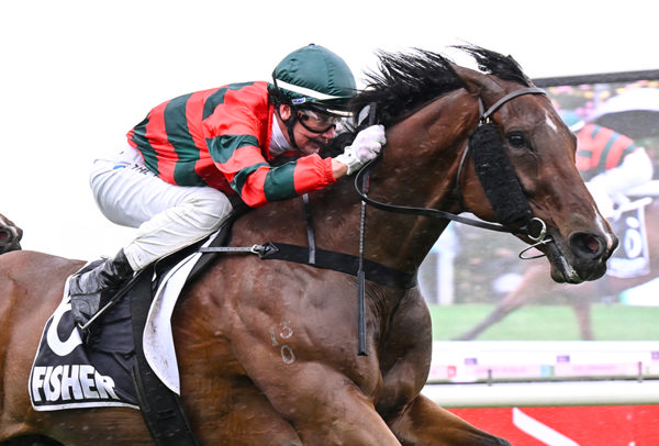Need Some Luck wins the Fisher Stakes - image Pat Scala/ Racing Photod