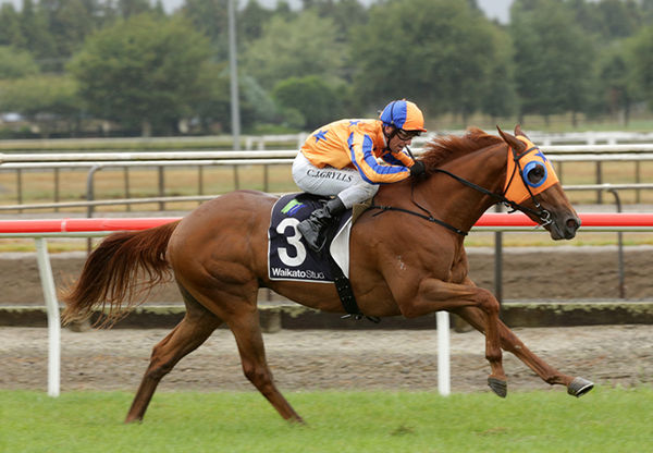 Need I Say More wins the G3 Waikato Stud Slipper - image Trish Dunnell