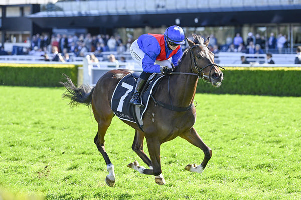 Impressive Way To Break Your Australian Duck, Nellie Leylax Winning The G3 Premier's Cup - Image Bradley Photos