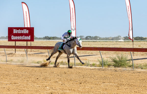 Neodium wins his second Birdsville Cup - image Matt Williams 